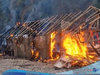 Langkah Tegas TNI-Polri Gerebek Barak Narkoba di Lima Lokasi